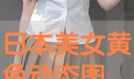 动态黄色视频,背后真相与警示